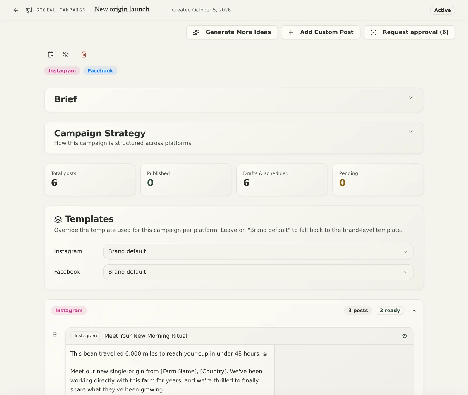 A social campaign with its brief, strategy, templates and posts by platform